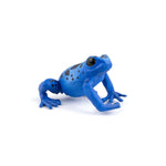 papo-50175-blauer-aequatorial-frosch-9A499C1B5.jpg