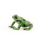 papo-50176-tierwelt-gruener-aequatorial-6F2F31E92.jpg
