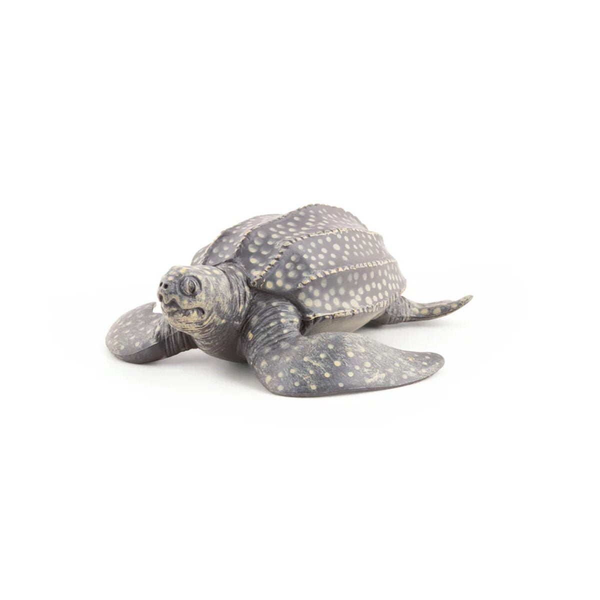 papo-56022-meeresuniversum-lederschildkroete-figur-A1382FFF1.jpg