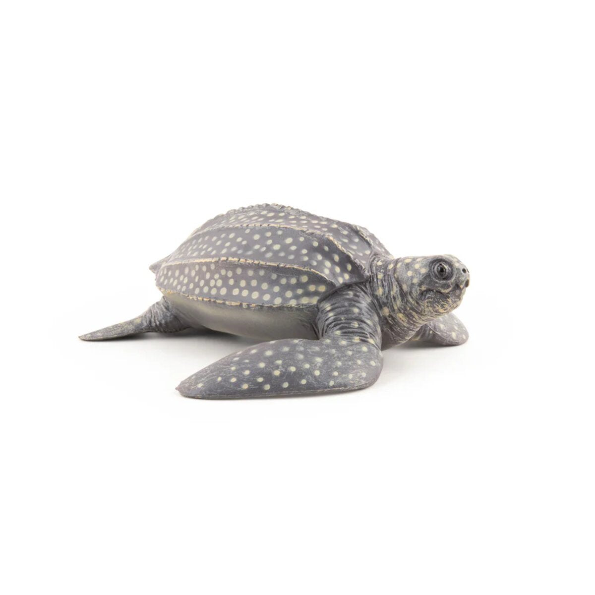 papo-56022-meeresuniversum-lederschildkroete-figur-A1382FFF3.jpg
