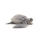 papo-56022-meeresuniversum-lederschildkroete-figur-A1382FFF3.jpg