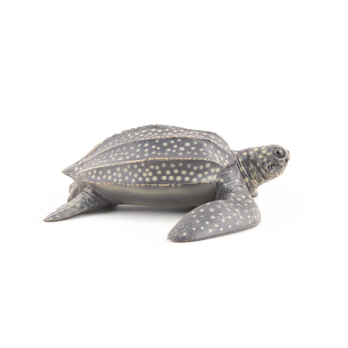 papo-56022-meeresuniversum-lederschildkroete-figur-A1382FFF4.jpg
