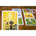 pegasus-spiele-pixies-B4FBCCEE3.jpg