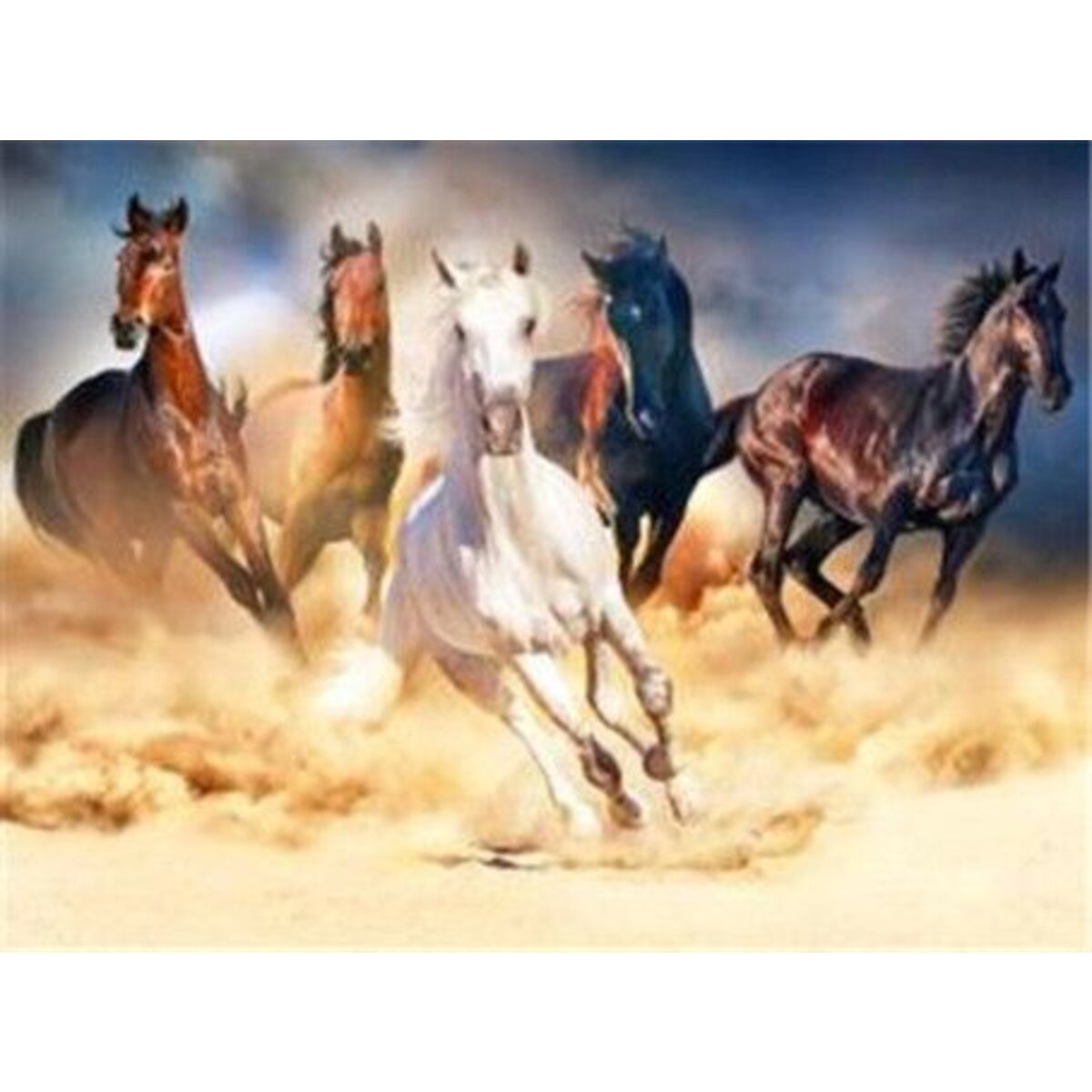 pracht-diamond-painting-galoppierende-pferde-487207201.jpg