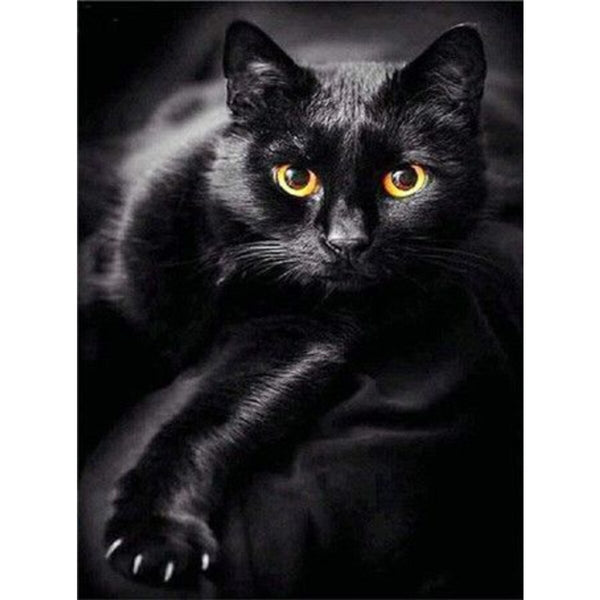 pracht-diamond-painting-schwarze-katze-48729ECF1.jpg