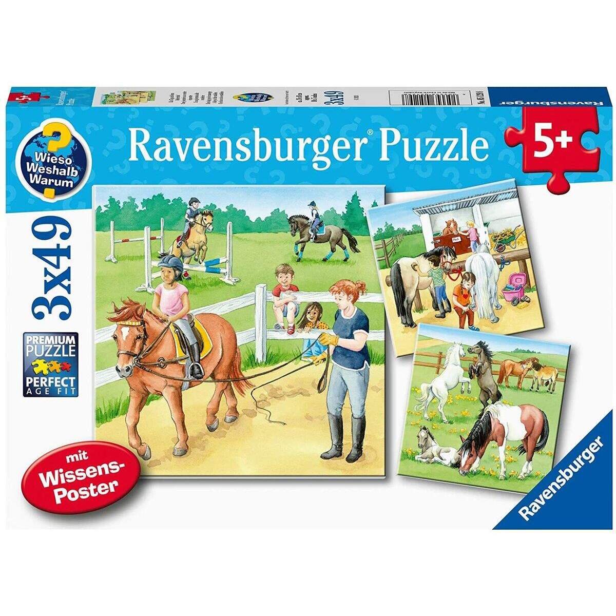 ravensburger-ein-tag-auf-dem-589B1FCC1.jpg