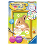 ravensburger-malen-nach-zahlen-haeschen-EED1653E1.jpg