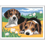 ravensburger-malen-nach-zahlen-jack-8EB464622.jpg