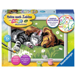 ravensburger-malen-nach-zahlen-tiefer-FBBF164C1.jpg