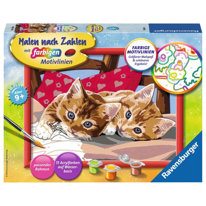 ravensburger-malen-nach-zahlen-zwei-C864EC571.jpg