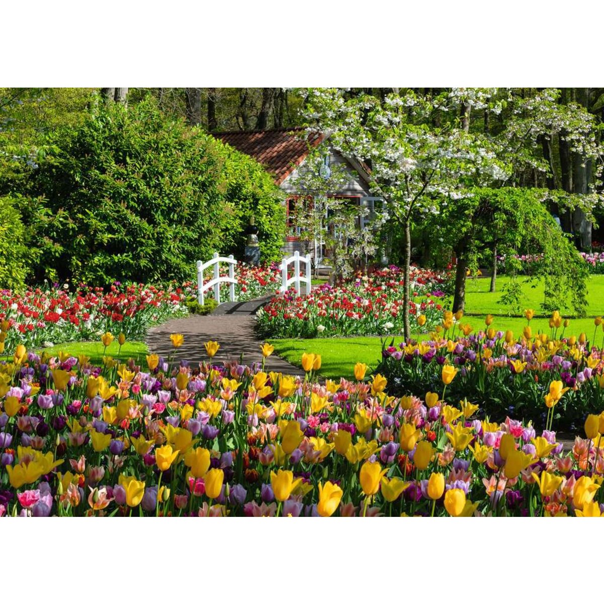 ravensburger-puzzle---beautiful-5B58FCC12.jpg