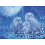 ravensburger-puzzle---glow-DF43E13C2.jpg