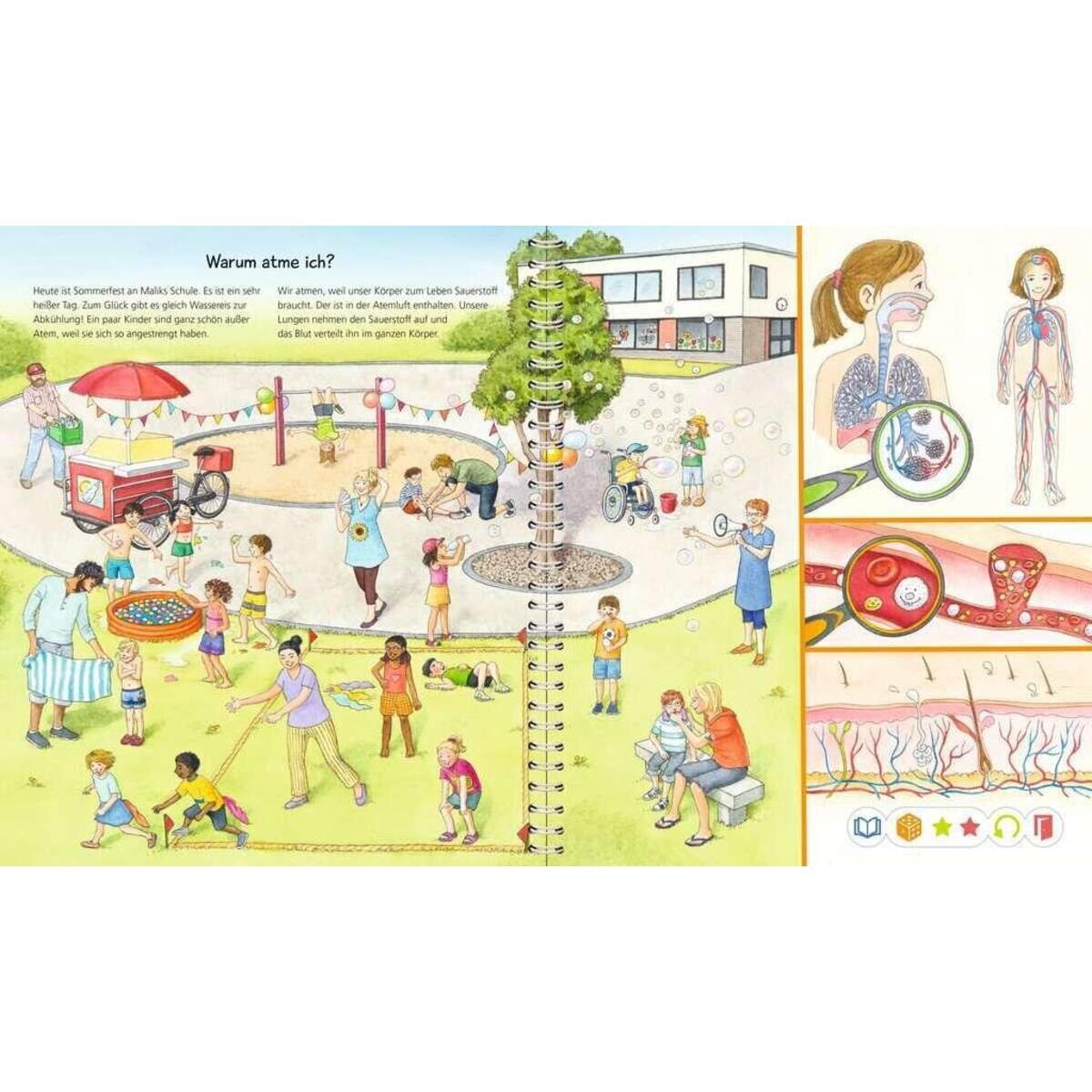 Ravensburger tiptoi® Alles über den Körper