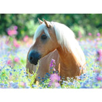ravensburger-xxl-puzzle---53F2A31F2.jpg