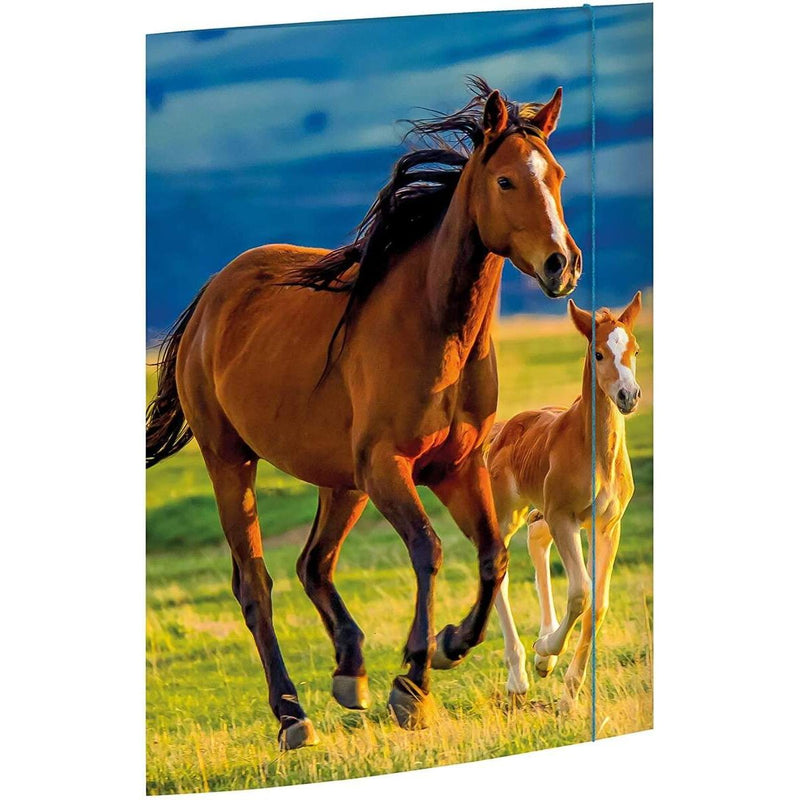 rnk-verlag-zeichenmappe-free-horses-817C08451.jpg