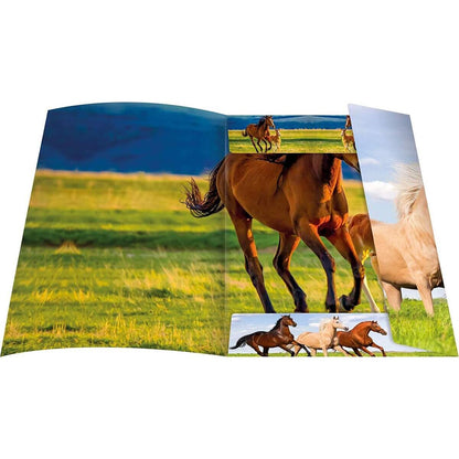rnk-verlag-zeichenmappe-free-horses-817C08452.jpg