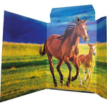 rnk-verlag-zeichenmappe-free-horses-817C08453.jpg