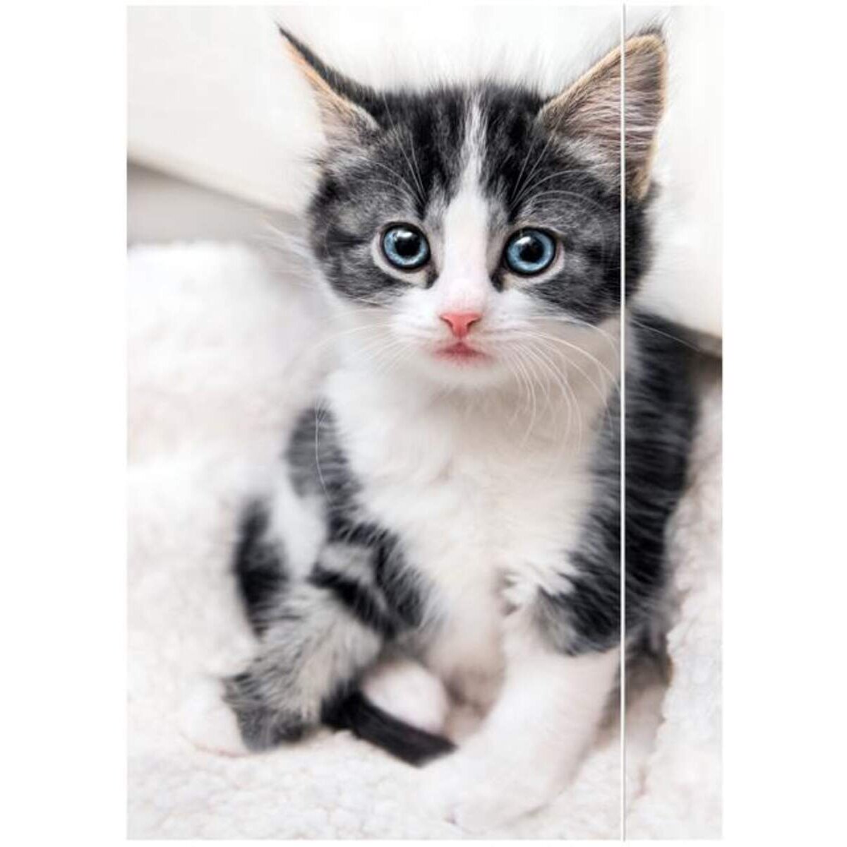 rnk-verlag-zeichenmappe-katze-a3-77FA052C1.jpg