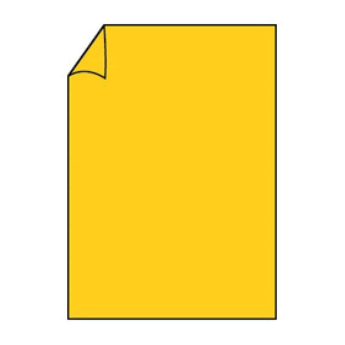 roessler-coloretti-briefbogen-10-blatt-3D100E071.jpg