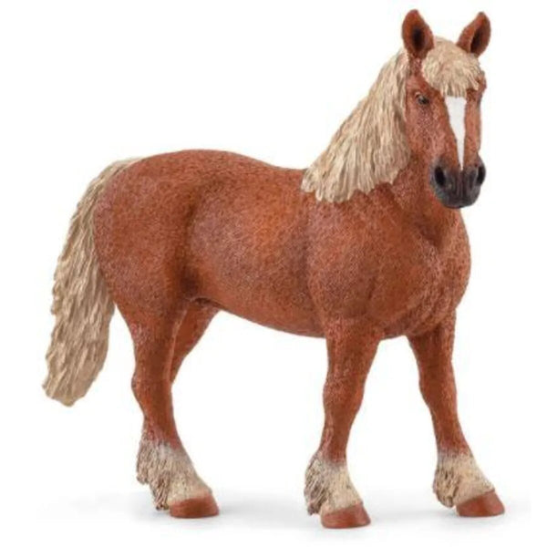 schleich-13941-farm-world-beglische-383AFEFD1.jpg