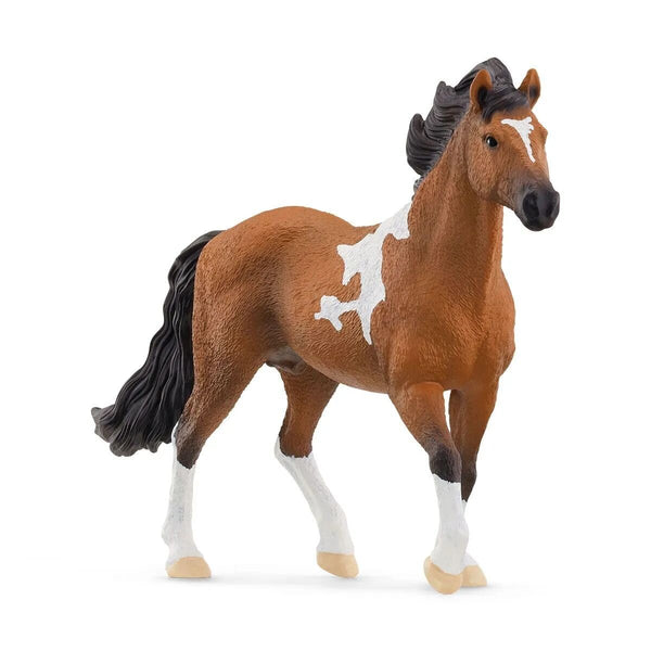 schleich-13978-horse-club--98BAD23D1.jpg