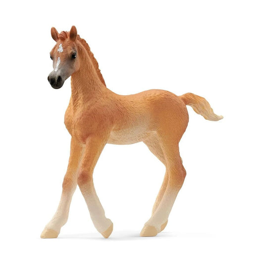 Schleich® 13984 Horse Club - Araber Fohlen