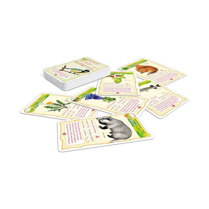 shuffle-abenteuer-schule---2459852F2.jpg