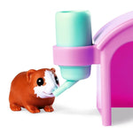 simba-evi-love-guinea-pigs-1EF7A4545.jpg