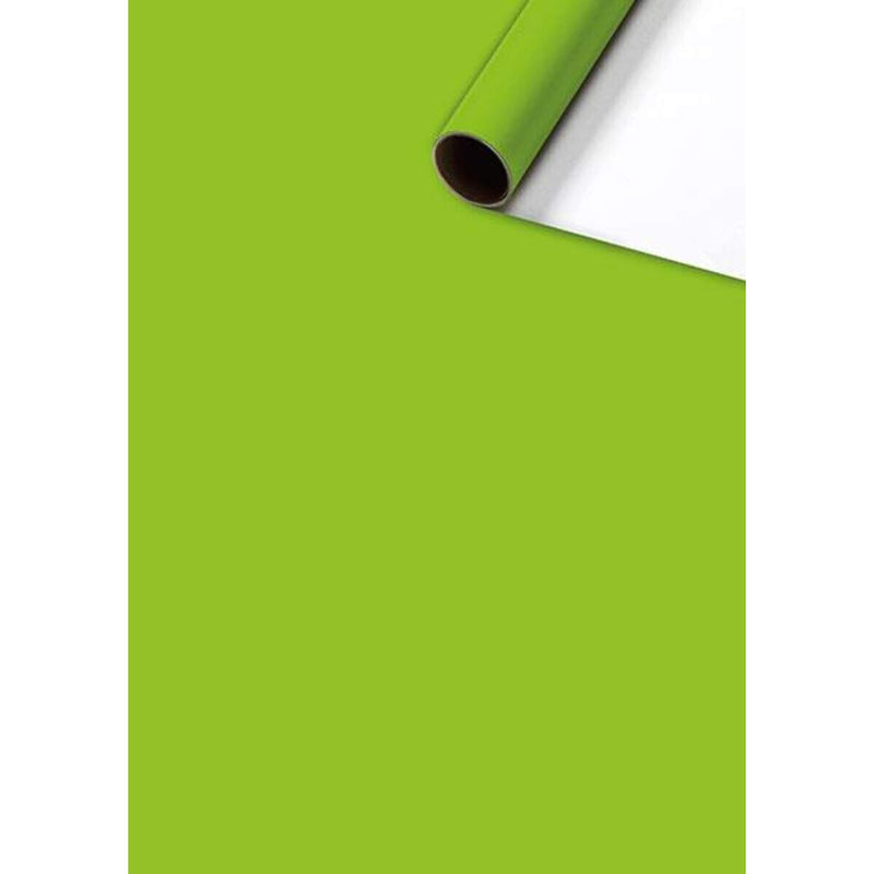 stewo-geschenkpapier-uni-plain-gruen-48B56DD81.jpg