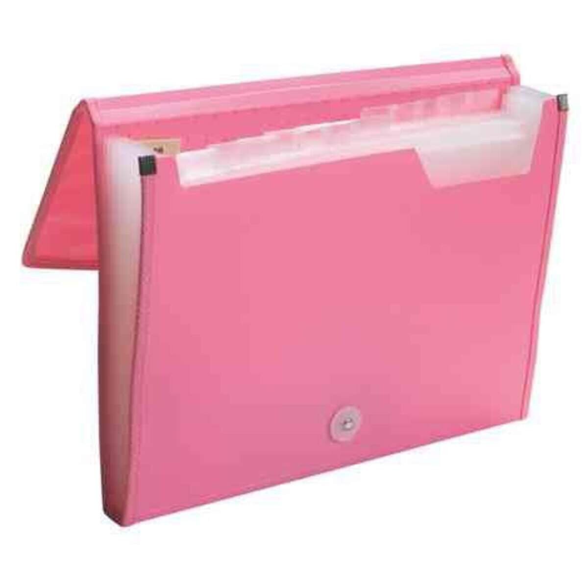 Stylex Dokumentenmappe,12 Fächer, sortiert