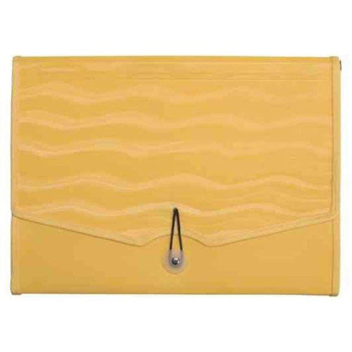 Stylex Dokumentenmappe,12 Fächer, sortiert