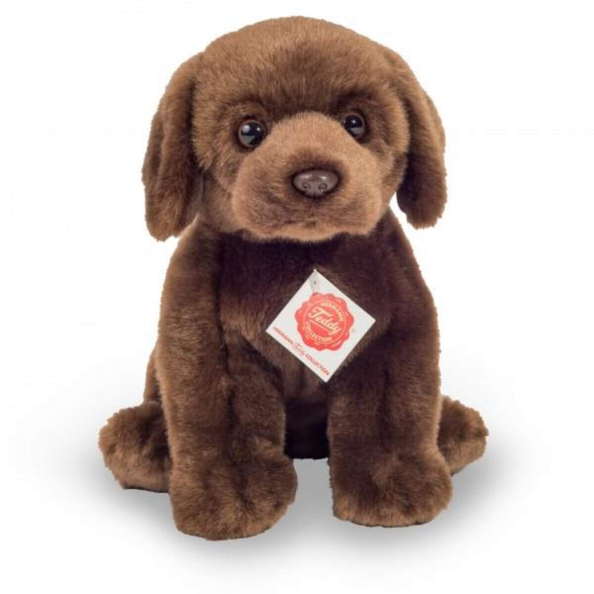 teddy-hermann-labrador-sitzend-dunkelbraun-170F24481.jpg