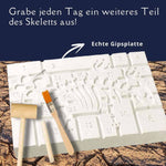 Topp Der Ausgrabungs-Adventskalender 24 coole Überraschungen zum Ausgraben