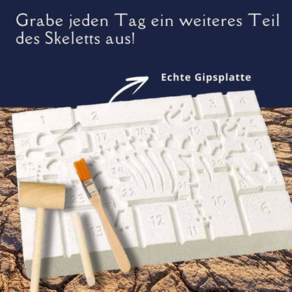 Topp Der Ausgrabungs-Adventskalender 24 coole Überraschungen zum Ausgraben