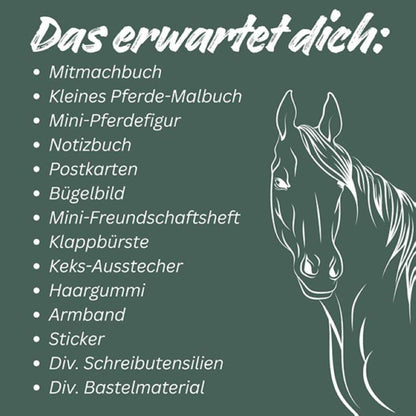 Topp Der kreative Adventskalender 24 Überraschungen für Pferde-Fans