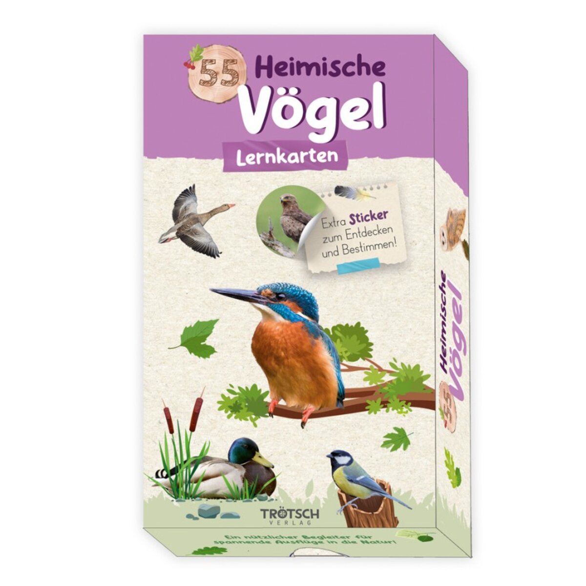 troetsch-55-lernkarten-heimische-voegel-0F5202AF1.jpg