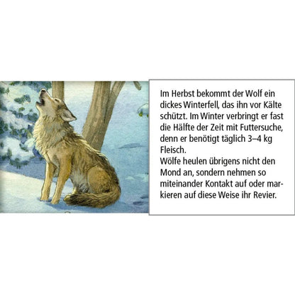 Coppenrath Verlag Hört ihr die Tiere im Winterwald? Sound-Adventskalender