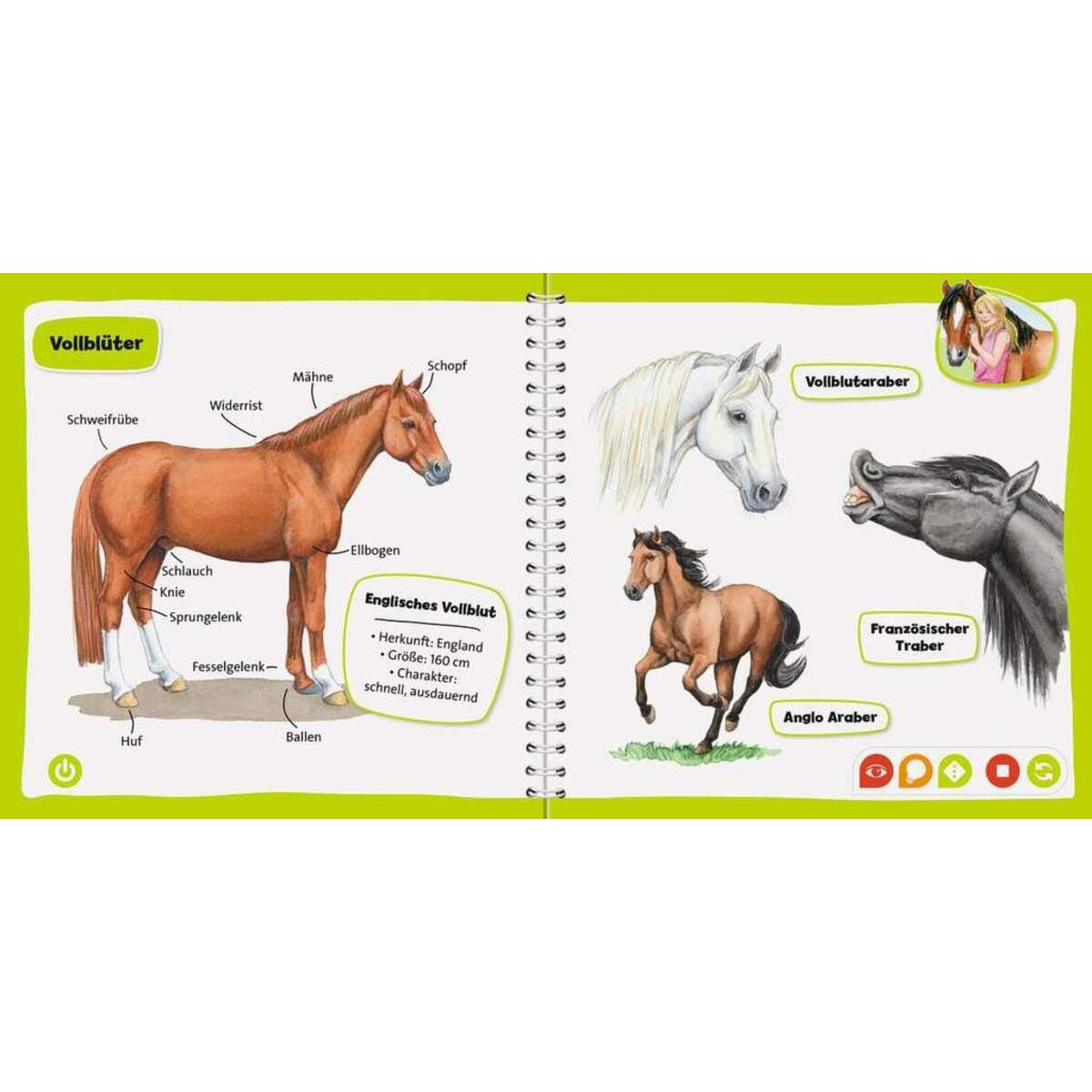 Ravensburger tiptoi Pferde und Ponys