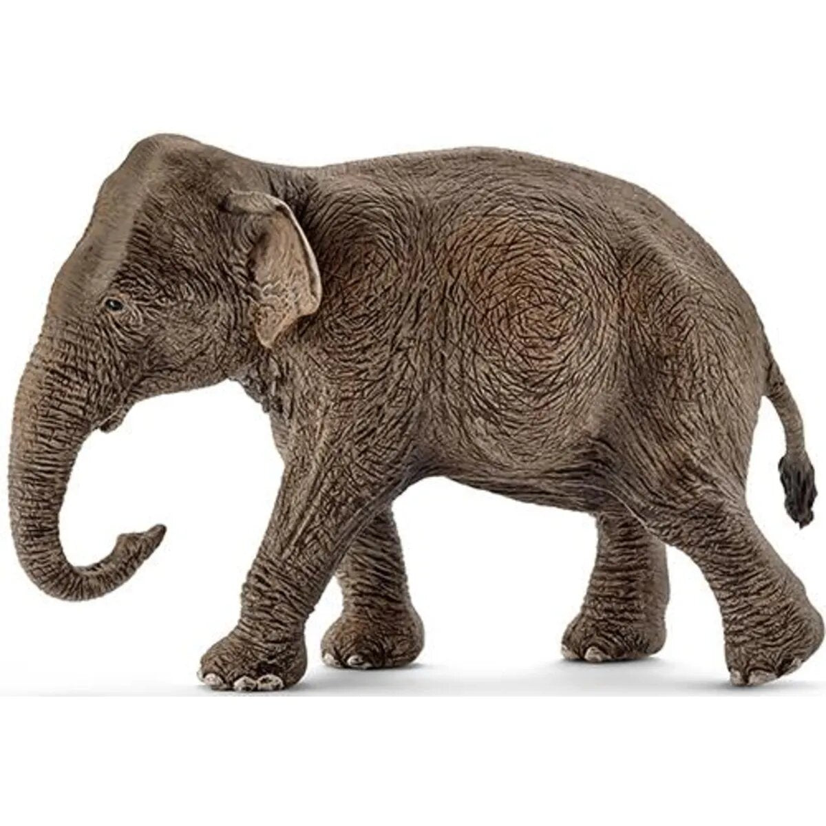 Schleich® 14753 Asiatische Elefantenkuh